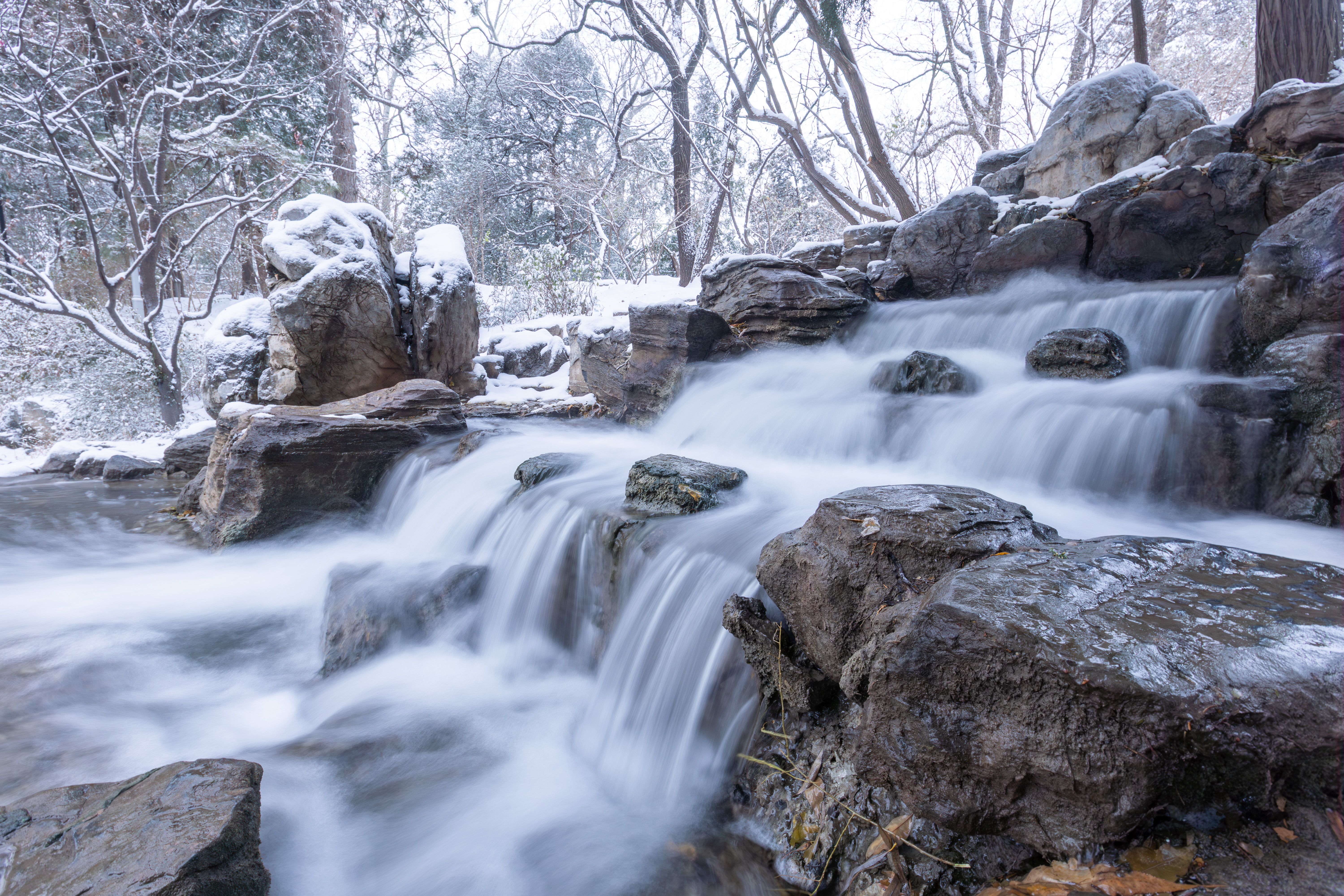 20231211-雪10-新葡萄-供图.jpg
