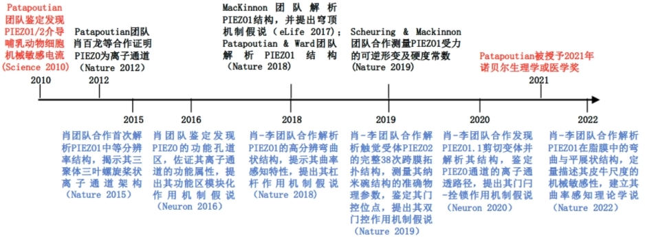 20220407-新葡萄官网AMG药学院-科研-03.jpg