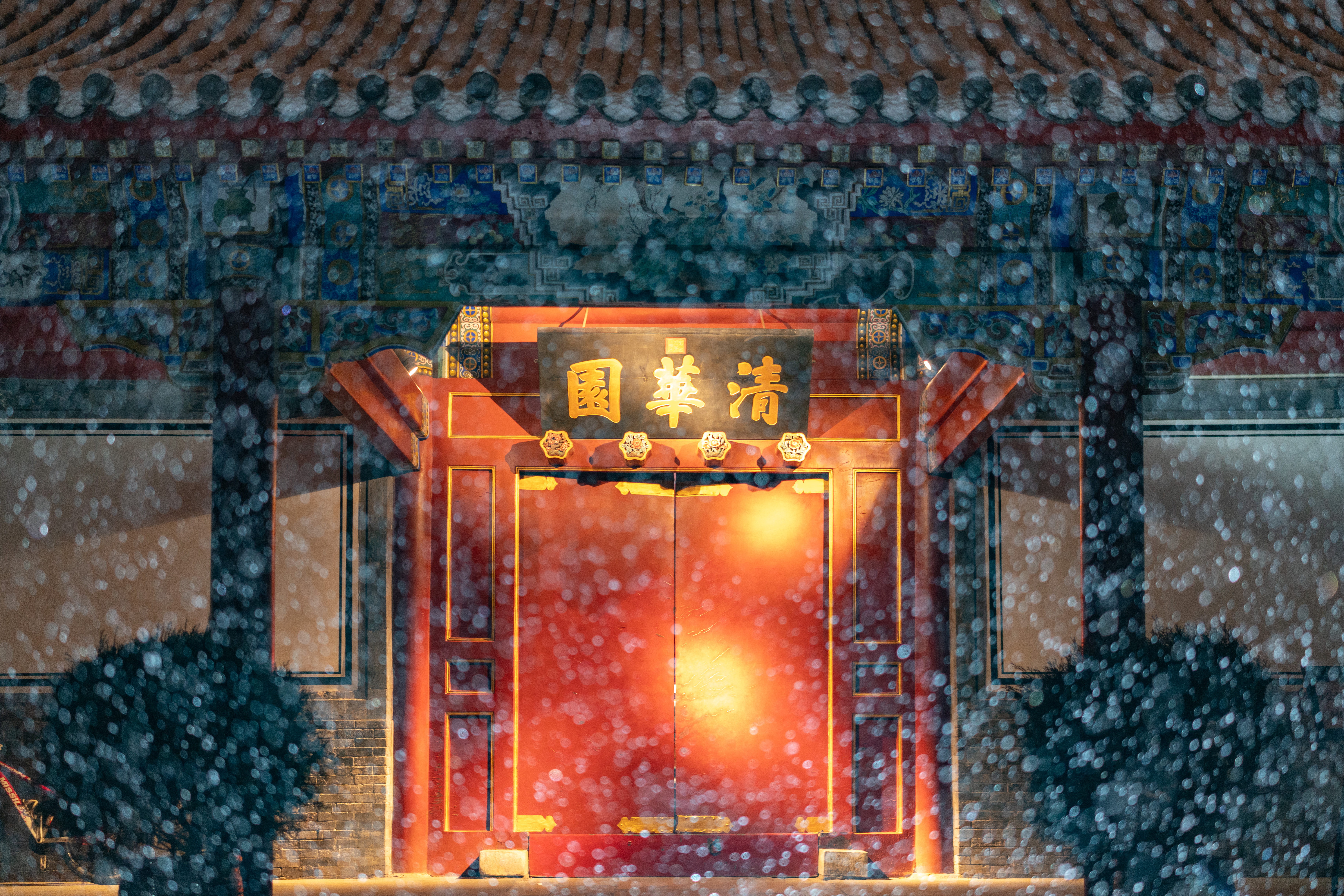20231211-雪3-新葡萄-供图.jpg