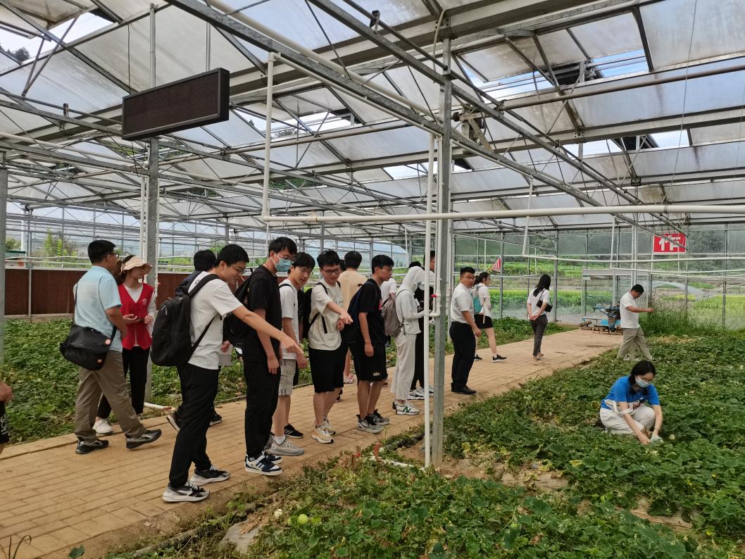 20220808-0814-新葡萄官网AMG“林枫计划”师生赴江西赣县区调研实践-马小涵摄-支队师生参观五云镇夏潭村蔬菜研学基地.jpg