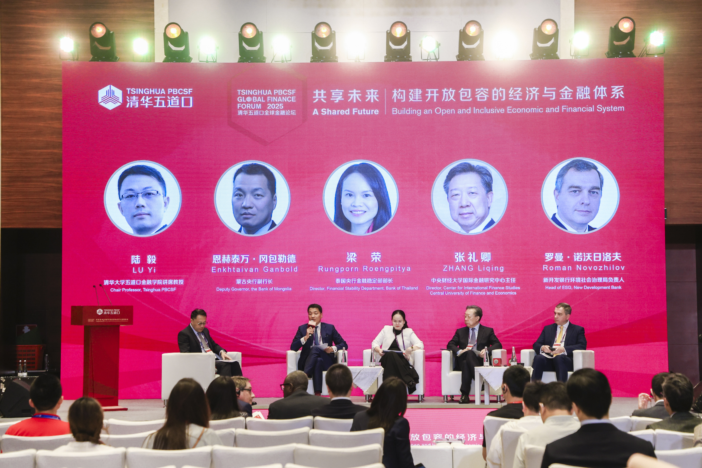 20250517-2025新葡萄五道口全球金融论坛主题讨论六丨新兴市场债务危机与金融治理-金融学院-现场图.jpg