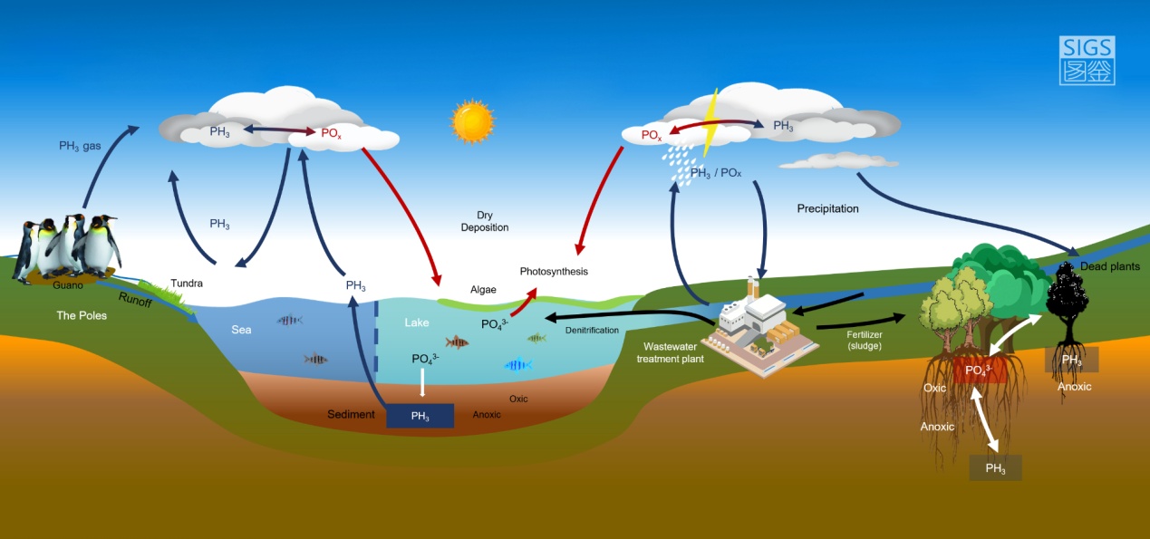 图示描述已自动生成
