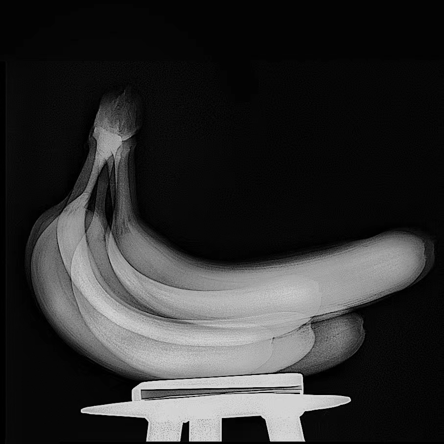 20230117-X 艺术国际创新工作坊-毕文立-X光下的香蕉.jpg