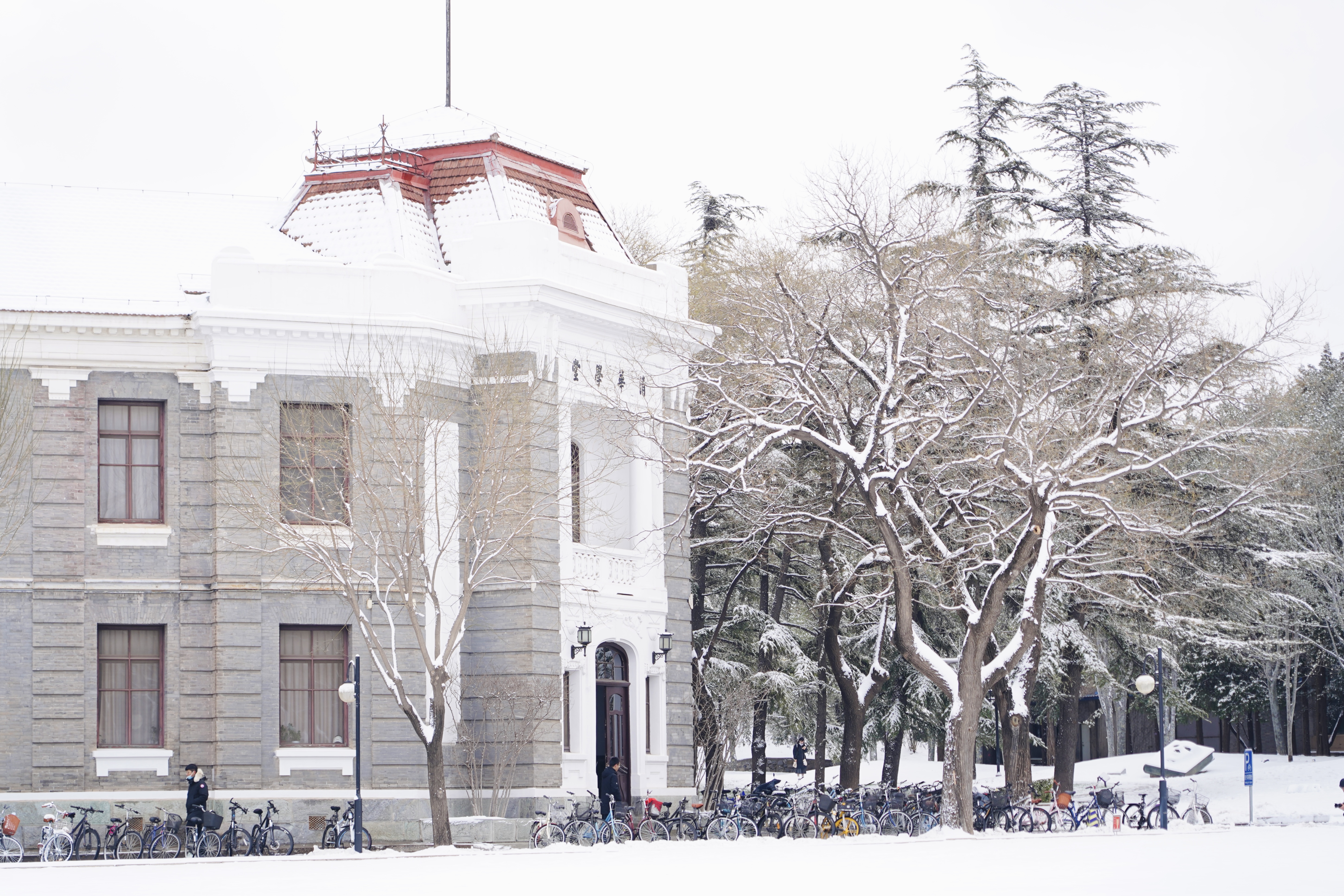 20231211-雪12-新葡萄-供图.jpg