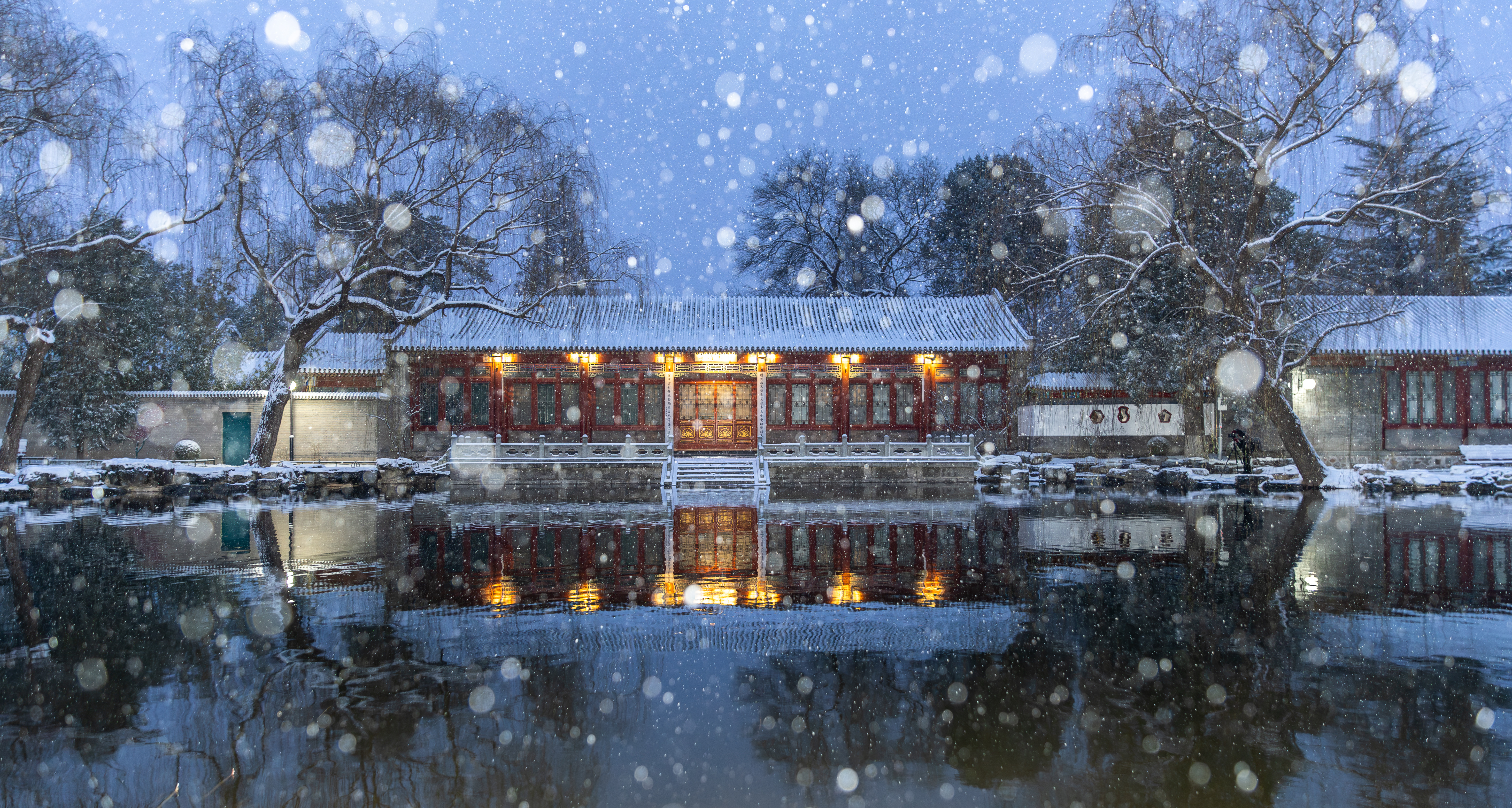20231211-雪1-新葡萄-供图.jpg