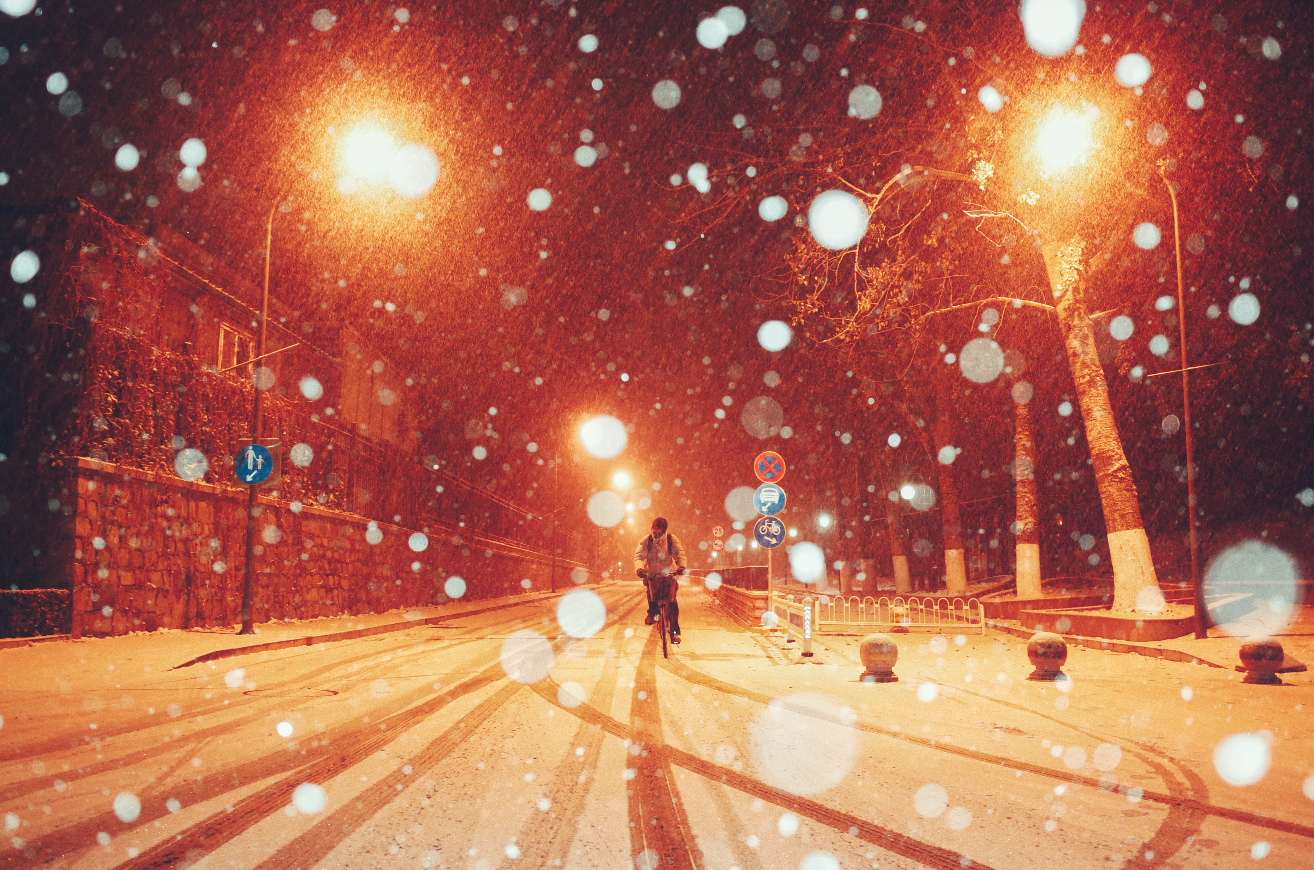 20231211-雪8-新葡萄-供图.jpg